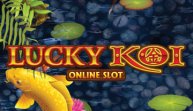 Lucky Koi (Счастливый карп)