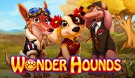 Wonder Hounds (Чудесные гончие)