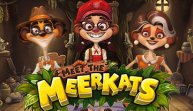 Meet the Meerkats (Встреча с Мееркатами)